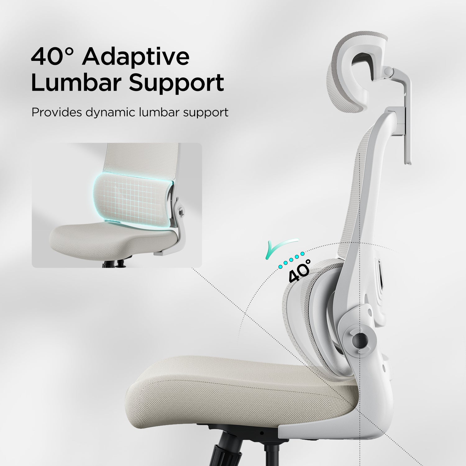 Hbada P1 Ergonomic Office Chair white lumbar support