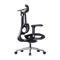 HBADA E3 Air Ergonomic Office Chairs 2026 Edition~1-0-0