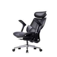 HBADA E3 Air Ergonomic Office Chairs 2026 Edition~1-0-0