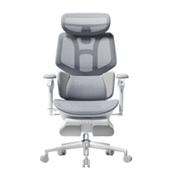 HBADA X7 Smart Ergonomic Chair~0