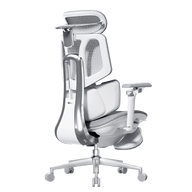 HBADA X7 Smart Ergonomic Chair~0
