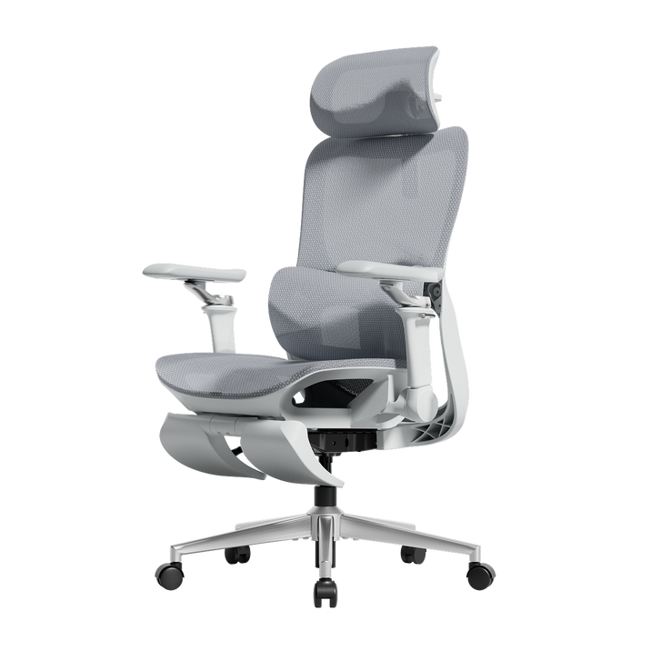 HBADA P2 Ergonomic Office Chair-Gray