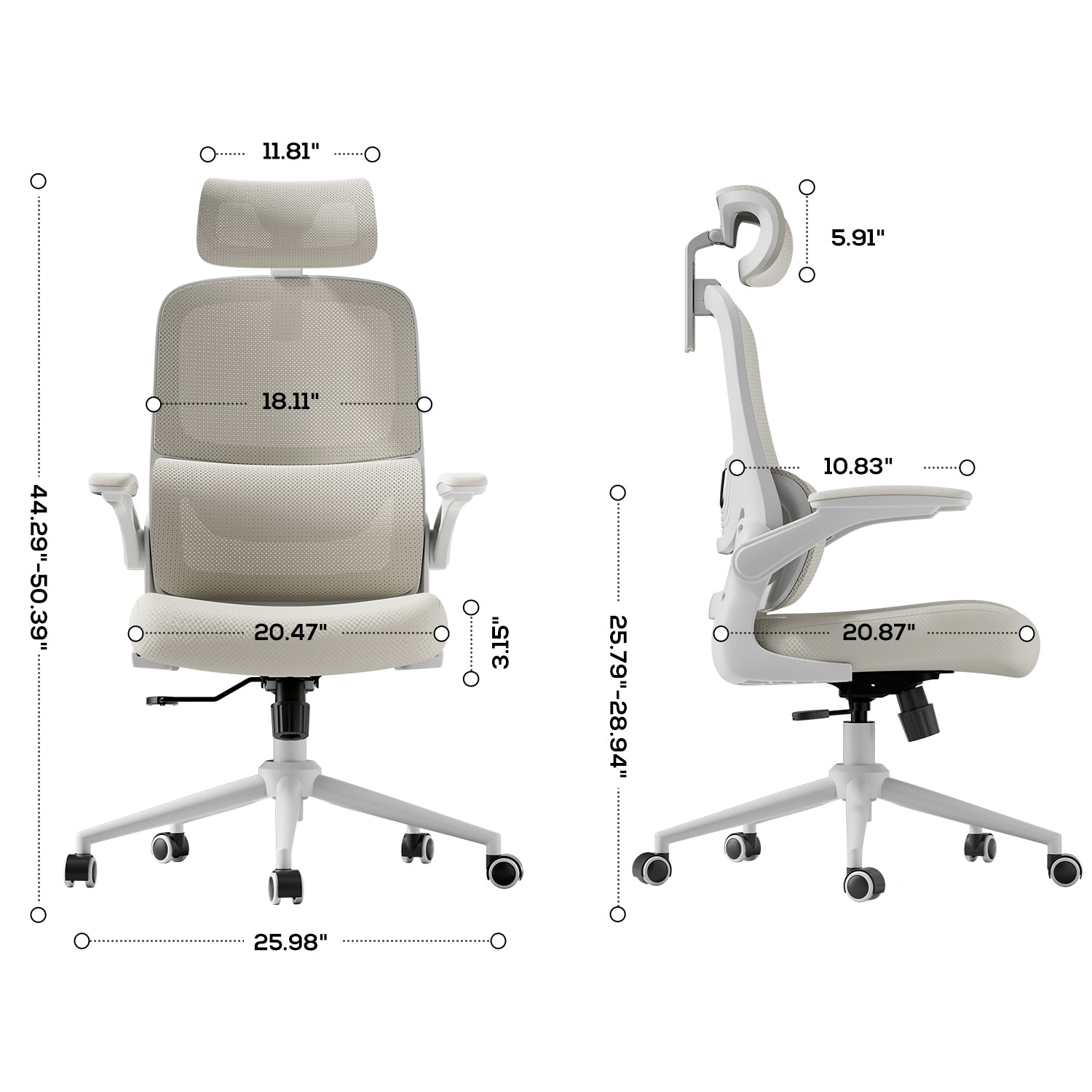 Hbada P1 Ergonomic Office Chair