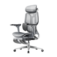 HBADA E3 Pro Ergonomic Office Chairs~3-1-1