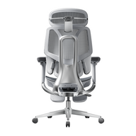 HBADA E3 Pro Ergonomic Office Chairs~3-1-1