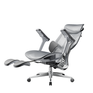 HBADA E3 Pro Ergonomic Office Chairs~3-1-1