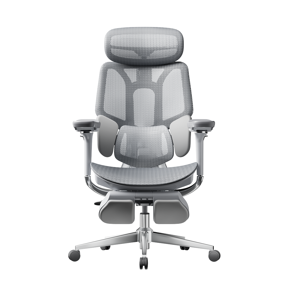 HBADA E3 Pro Ergonomic Office Chairs~3-1-1