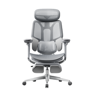 HBADA E3 Pro Ergonomic Office Chairs~3-1-1