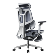 HBADA E3 Pro Ergonomic Office Chairs 2026 Edition~0-1-1