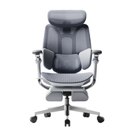 HBADA E3 Pro Ergonomic Office Chairs 2026 Edition~0-1-1
