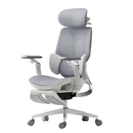 HBADA E3 Ultra Ergonomic Office Chair Futuristic~2-1-1