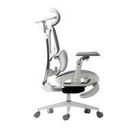 HBADA E3 Ultra Ergonomic Office Chair Futuristic~2-1-1