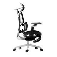 HBADA E3 Ultra Ergonomic Office Chair Futuristic~2-0-1