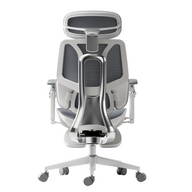 HBADA E3 Ultra Ergonomic Office Chair Futuristic~2-1-1