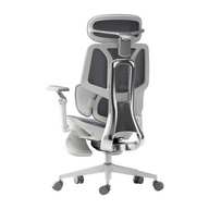 HBADA E3 Ultra Ergonomic Office Chair Futuristic~2-1-1