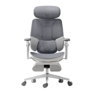 HBADA E3 Ultra Ergonomic Office Chair Futuristic~2-1-1