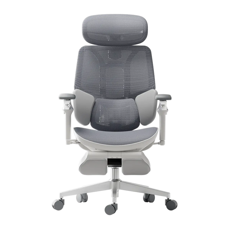HBADA E3 Ultra Ergonomic Office Chair Futuristic~2-1-1