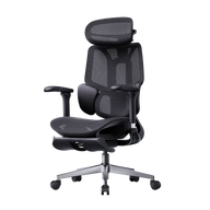 HBADA E3 Air Ergonomic Office Chair 2026 Edition~1-1
