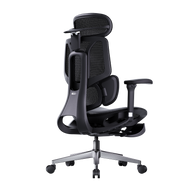 HBADA E3 Air Ergonomic Office Chair 2026 Edition~1-1