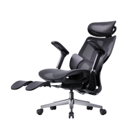 HBADA E3 Air Ergonomic Office Chair 2026 Edition~1-1