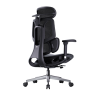HBADA E3 Air Ergonomic Office Chair 2026 Edition~1-0