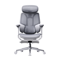 HBADA E3 Air Ergonomic Office Chair 2026 Edition~0-1