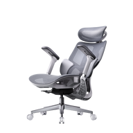 HBADA E3 Air Ergonomic Office Chair 2026 Edition~0-0
