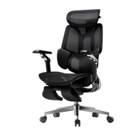 HBADA E3 Pro Ergonomic Office Chairs 2026 Edition~0-0-1