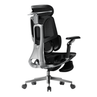 HBADA E3 Pro Ergonomic Office Chairs 2026 Edition~0-0-1