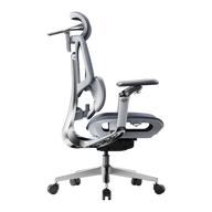 HBADA E3 Pro Ergonomic Office Chairs 2026 Edition~0-1-0