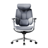 HBADA E3 Pro Ergonomic Office Chairs 2026 Edition~0-1-0