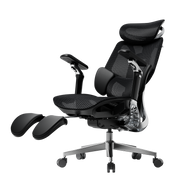 HBADA E3 Pro Ergonomic Office Chair 2026 Edition~1-0