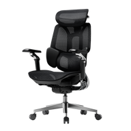 HBADA E3 Pro Ergonomic Office Chair 2026 Edition~1-1