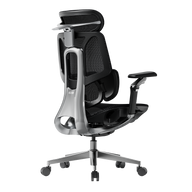 HBADA E3 Pro Ergonomic Office Chair 2026 Edition~1-1