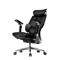 HBADA E3 Pro Ergonomic Office Chair 2026 Edition~1-1