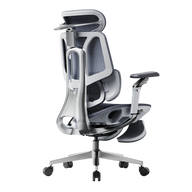 HBADA E3 Pro Ergonomic Office Chair 2026 Edition~0-0