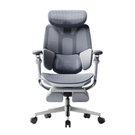 HBADA E3 Pro Ergonomic Office Chair 2026 Edition~0-0