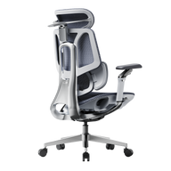 HBADA E3 Pro Ergonomic Office Chair 2026 Edition~0-1