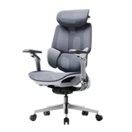 HBADA E3 Pro Ergonomic Office Chair 2026 Edition~0-1