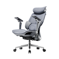 HBADA E3 Pro Ergonomic Office Chair 2026 Edition~0-1