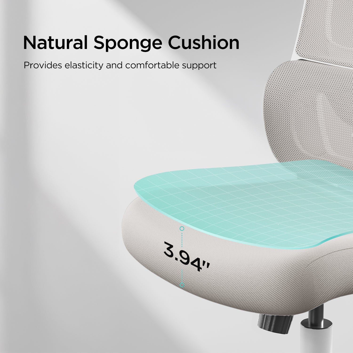 Hbada P1 Ergonomic Office Chair